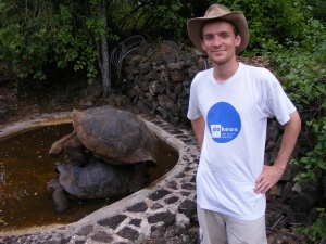 Giant Land Turtles Mating in the Galapagos